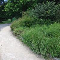 Parc_Montsouris_Paris©Arp-Astrance_2016 (29).JPG