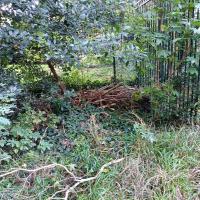 Parc_Offenbach_Puteaux©Arp-Astrance_2023 (11).jpg