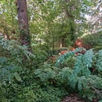 Parc_Offenbach_Puteaux©Arp-Astrance_2023 (9).jpg