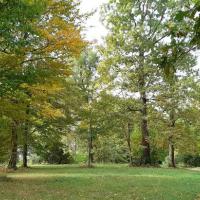 Parc_Palmer_Cenon©Oreade-Breche_2021 (16).jpg