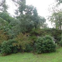 Parc_Pastourelles_Montpellier©Oreade-Breche_2020 (16).JPG