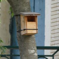 Parc_Pastourelles_Montpellier©Oreade-Breche_2020 (18).JPG