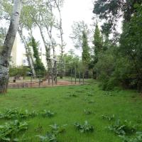 Parc_Pastourelles_Montpellier©Oreade-Breche_2020 (31).JPG
