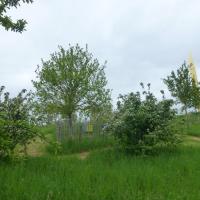 Parc_Pelt_Metz©Urban&amp;amp;Sens_2021_04.JPG