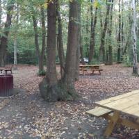 Parc_Picardie-Versailles©Gondwana_2016 (3).jpg