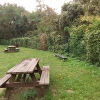 Parc_Picardie-Versailles©Gondwana_2016 (6).jpg