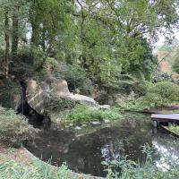 Parc_Proce_Nantes©Arp-Astrance_2023 (1).JPG