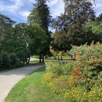 Parc_Proce_Nantes©Arp-Astrance_2023 (3).JPG