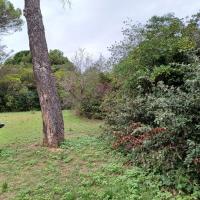 Parc_Rauze_Montpellier©HederaVilleDUrable_2023 (10).jpg