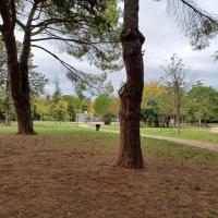 Parc_Rauze_Montpellier©HederaVilleDUrable_2023 (6).jpg