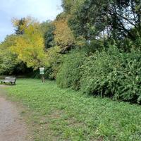 Parc_Rauze_Montpellier©HederaVilleDUrable_2023 (9).jpg
