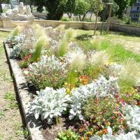 Parc_Saint_Cyr_Marseille©Brassica_2021 (6).JPG