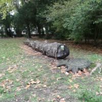 Parc_Sophie_Desmarets_Montpellier©Oreade-Breche_2020 (4).JPG