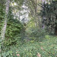 Parc_St-Jeanne_Enghien-les-Bains©Arp-Astrance_2022 (13).JPG