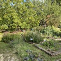 Parc_St-Jeanne_Enghien-les-Bains©Arp-Astrance_2022 (23).JPG