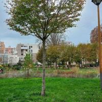 Parc_Stalingrad_Pantin©Arp-Astrance_2022 (21).jpg