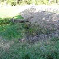 Parc_Vallon_Lyon©Agrostis_2023 (13).JPG
