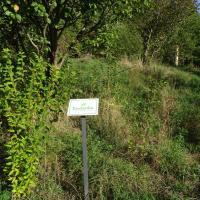 Parc_Vallon_Lyon©Agrostis_2023 (2).JPG