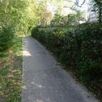 Parc_Vallon_Lyon©Agrostis_2023 (8).JPG