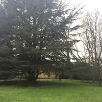 Parc_Villejean_Rennes©Arp-Astrance_2019 (20).JPG