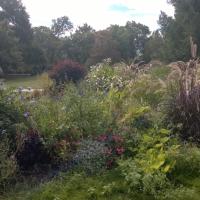 Parc_Vivier-Merignac©Oreade-Breche_2016 (19).jpg