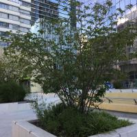 Place_Iris_ParisLaDefense©Arp-Astrance_2022 (1).JPG