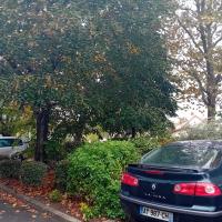 Pre_Barallon_Batigere-idf©Arp-Astrance_2023 (2).jpeg