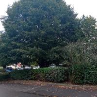 Pre_Barallon_Batigere-idf©Arp-Astrance_2023 (3).jpeg