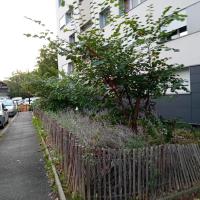 Renouilleres_Batigere-idf©Arp-Astrance_2023 (2).jpeg