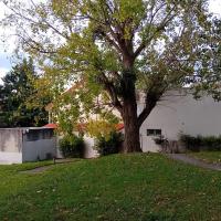 Renouilleres_Batigere-idf©Arp-Astrance_2023 (3).jpeg