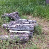 Residence_Anne_Franck_CDCHabitat©Arp-Astrance_2023 (1).jpg