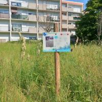 Residence_Anne_Franck_CDCHabitat©Arp-Astrance_2023 (9).jpg