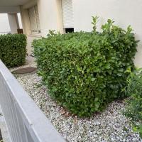 Residence_DUnant_BatigereIDF©Arp-Astrance_2022 (8).jpeg