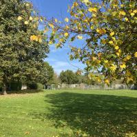 Residence_Gambetta_BatigereIDF©Arp-Astrance_2022 (5).jpeg