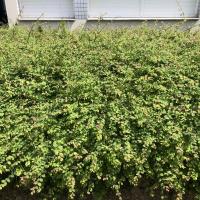 Residence_Guyancourt_Batigereidf©Arp-Astrance_2022 (3).JPG