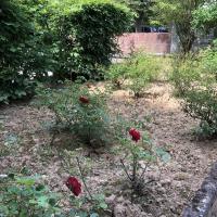 Residence_Guyancourt_Batigereidf©Arp-Astrance_2022 (4).JPG