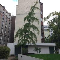 Residence_Kellner_BatigereIDF©Arp-Astrance_2022 (5).JPG