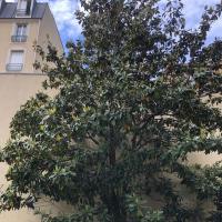 Residence_Klock_Batigereidf©Arp-Astrance_2022 (3).JPG