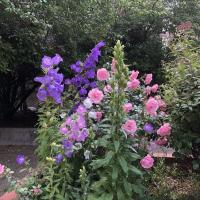 Residence_Klock_Batigereidf©Arp-Astrance_2022 (4).JPG