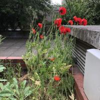 Residence_Klock_Batigereidf©Arp-Astrance_2022 (5).JPG