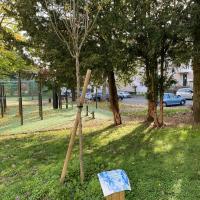 Residence_Les_Merisiers_BatigeresIDF©Arp-Astrance_2022 (3).jpeg