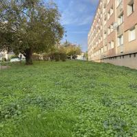 Residence_Les_Merisiers_BatigeresIDF©Arp-Astrance_2022 (6).jpeg