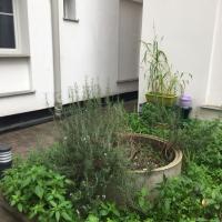 Residence_Mercoeur_BatigereIDF©Arp-Astrance_2022 (2).JPG