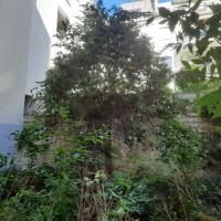 Residence_Salanier_BatigereIDF©Arp-Astrance_2022 (1).jpg