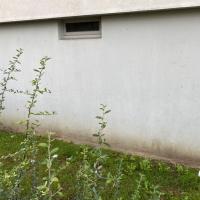 Residence_Val_Fourre_BatigereIDF©Arp-Astrance_2022 (7).jpeg