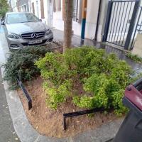 Rue_Jacquart_Pantin©Arp-Astrance_2023 (4).jpg