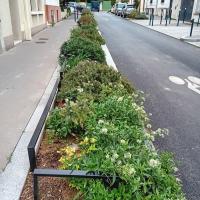 Rue_Lepine_Pantin©Arp-Astrance_2023 (1).jpg