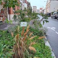 Rue_Lepine_Pantin©Arp-Astrance_2023 (2).jpg