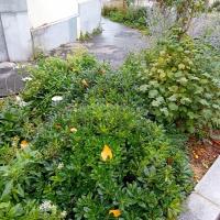 Rue_Lepine_Pantin©Arp-Astrance_2023 (7).jpg