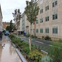 Rue_Liberte_Pantin©Arp-Astrance_2023 (2).jpg